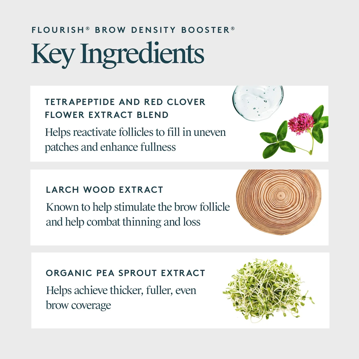 Virtue Flourish Brow Density Booster® 4ml - Image 12