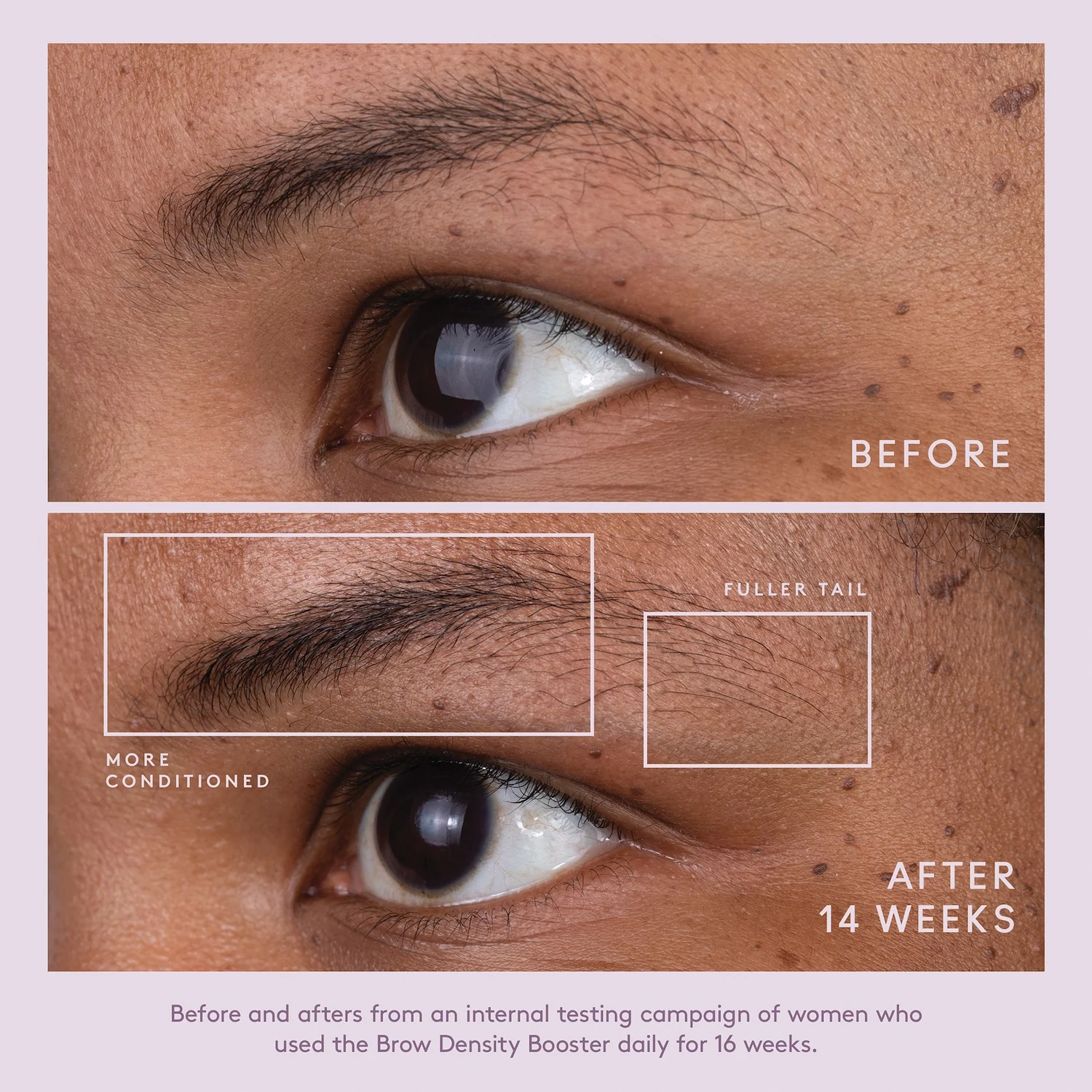 Virtue Flourish Brow Density Booster® 4ml - Image 5