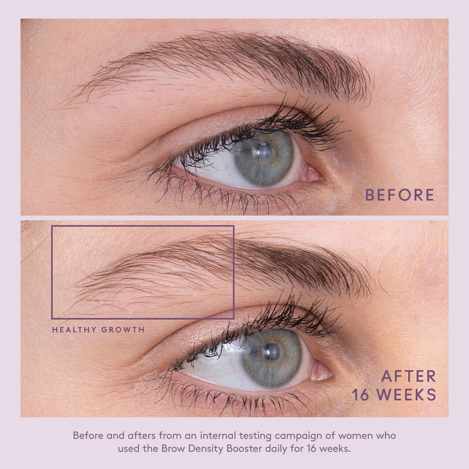 Virtue Flourish Brow Density Booster® 4ml - Image 6